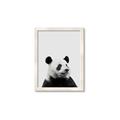 Picture of Panda Portrait _GroupedProduct_Rectangle_Portrait_Mini_ _GroupedProduct_Rectangle_Portrait_Framed_Matted_