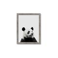 Picture of Panda Portrait _GroupedProduct_Rectangle_Portrait_Mini_ _GroupedProduct_Rectangle_Portrait_Framed_Matted_