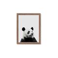 Picture of Panda Portrait _GroupedProduct_Rectangle_Portrait_Mini_ _GroupedProduct_Rectangle_Portrait_Framed_Matted_