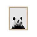 Picture of Panda Portrait _GroupedProduct_Rectangle_Portrait_Mini_ _GroupedProduct_Rectangle_Portrait_Framed_Matted_