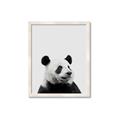 Picture of Panda Portrait _GroupedProduct_Rectangle_Portrait_Mini_ _GroupedProduct_Rectangle_Portrait_Framed_Matted_