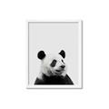 Picture of Panda Portrait _GroupedProduct_Rectangle_Portrait_Mini_ _GroupedProduct_Rectangle_Portrait_Framed_Matted_