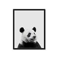 Picture of Panda Portrait _GroupedProduct_Rectangle_Portrait_Mini_ _GroupedProduct_Rectangle_Portrait_Framed_Matted_