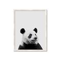 Picture of Panda Portrait _GroupedProduct_Rectangle_Portrait_Mini_ _GroupedProduct_Rectangle_Portrait_Framed_Matted_