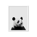 Picture of Panda Portrait _GroupedProduct_Rectangle_Portrait_Mini_ _GroupedProduct_Rectangle_Portrait_Framed_Matted_