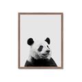 Picture of Panda Portrait _GroupedProduct_Rectangle_Portrait_Mini_ _GroupedProduct_Rectangle_Portrait_Framed_Matted_