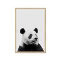 Picture of Panda Portrait _GroupedProduct_Rectangle_Portrait_Mini_ _GroupedProduct_Rectangle_Portrait_Framed_Matted_