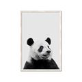 Picture of Panda Portrait _GroupedProduct_Rectangle_Portrait_Mini_ _GroupedProduct_Rectangle_Portrait_Framed_Matted_