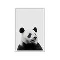 Picture of Panda Portrait _GroupedProduct_Rectangle_Portrait_Mini_ _GroupedProduct_Rectangle_Portrait_Framed_Matted_