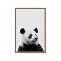 Picture of Panda Portrait _GroupedProduct_Rectangle_Portrait_Mini_ _GroupedProduct_Rectangle_Portrait_Framed_Matted_