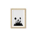 Picture of Panda Portrait _GroupedProduct_Rectangle_Portrait_Mini_ _GroupedProduct_Rectangle_Portrait_Framed_Matted_