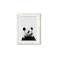 Picture of Panda Portrait _GroupedProduct_Rectangle_Portrait_Mini_ _GroupedProduct_Rectangle_Portrait_Framed_Matted_