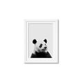 Picture of Panda Portrait _GroupedProduct_Rectangle_Portrait_Mini_ _GroupedProduct_Rectangle_Portrait_Framed_Matted_