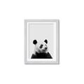 Picture of Panda Portrait _GroupedProduct_Rectangle_Portrait_Mini_ _GroupedProduct_Rectangle_Portrait_Framed_Matted_