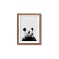 Picture of Panda Portrait _GroupedProduct_Rectangle_Portrait_Mini_ _GroupedProduct_Rectangle_Portrait_Framed_Matted_