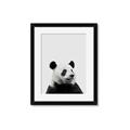 Picture of Panda Portrait _GroupedProduct_Rectangle_Portrait_Mini_ _GroupedProduct_Rectangle_Portrait_Framed_Matted_