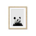 Picture of Panda Portrait _GroupedProduct_Rectangle_Portrait_Mini_ _GroupedProduct_Rectangle_Portrait_Framed_Matted_