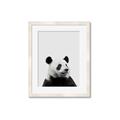 Picture of Panda Portrait _GroupedProduct_Rectangle_Portrait_Mini_ _GroupedProduct_Rectangle_Portrait_Framed_Matted_