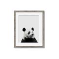 Picture of Panda Portrait _GroupedProduct_Rectangle_Portrait_Mini_ _GroupedProduct_Rectangle_Portrait_Framed_Matted_