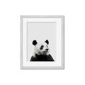 Picture of Panda Portrait _GroupedProduct_Rectangle_Portrait_Mini_ _GroupedProduct_Rectangle_Portrait_Framed_Matted_