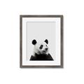 Picture of Panda Portrait _GroupedProduct_Rectangle_Portrait_Mini_ _GroupedProduct_Rectangle_Portrait_Framed_Matted_