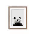 Picture of Panda Portrait _GroupedProduct_Rectangle_Portrait_Mini_ _GroupedProduct_Rectangle_Portrait_Framed_Matted_
