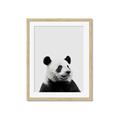 Picture of Panda Portrait _GroupedProduct_Rectangle_Portrait_Mini_ _GroupedProduct_Rectangle_Portrait_Framed_Matted_