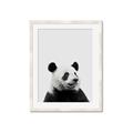 Picture of Panda Portrait _GroupedProduct_Rectangle_Portrait_Mini_ _GroupedProduct_Rectangle_Portrait_Framed_Matted_