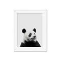 Picture of Panda Portrait _GroupedProduct_Rectangle_Portrait_Mini_ _GroupedProduct_Rectangle_Portrait_Framed_Matted_