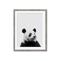 Picture of Panda Portrait _GroupedProduct_Rectangle_Portrait_Mini_ _GroupedProduct_Rectangle_Portrait_Framed_Matted_