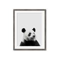Picture of Panda Portrait _GroupedProduct_Rectangle_Portrait_Mini_ _GroupedProduct_Rectangle_Portrait_Framed_Matted_