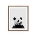 Picture of Panda Portrait _GroupedProduct_Rectangle_Portrait_Mini_ _GroupedProduct_Rectangle_Portrait_Framed_Matted_