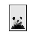 Picture of Panda Portrait _GroupedProduct_Rectangle_Portrait_Mini_ _GroupedProduct_Rectangle_Portrait_Framed_Matted_