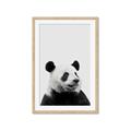 Picture of Panda Portrait _GroupedProduct_Rectangle_Portrait_Mini_ _GroupedProduct_Rectangle_Portrait_Framed_Matted_