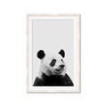 Picture of Panda Portrait _GroupedProduct_Rectangle_Portrait_Mini_ _GroupedProduct_Rectangle_Portrait_Framed_Matted_