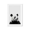 Picture of Panda Portrait _GroupedProduct_Rectangle_Portrait_Mini_ _GroupedProduct_Rectangle_Portrait_Framed_Matted_
