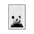 Picture of Panda Portrait _GroupedProduct_Rectangle_Portrait_Mini_ _GroupedProduct_Rectangle_Portrait_Framed_Matted_