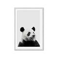 Picture of Panda Portrait _GroupedProduct_Rectangle_Portrait_Mini_ _GroupedProduct_Rectangle_Portrait_Framed_Matted_