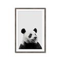 Picture of Panda Portrait _GroupedProduct_Rectangle_Portrait_Mini_ _GroupedProduct_Rectangle_Portrait_Framed_Matted_