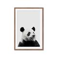 Picture of Panda Portrait _GroupedProduct_Rectangle_Portrait_Mini_ _GroupedProduct_Rectangle_Portrait_Framed_Matted_