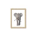 Picture of Behind Elephant _GroupedProduct_Rectangle_Portrait_Mini_ _GroupedProduct_Rectangle_Portrait_Framed_Matted_