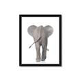 Picture of Behind Elephant _GroupedProduct_Rectangle_Portrait_Mini_ _GroupedProduct_Rectangle_Portrait_Framed_Matted_