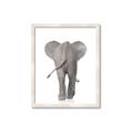 Picture of Behind Elephant _GroupedProduct_Rectangle_Portrait_Mini_ _GroupedProduct_Rectangle_Portrait_Framed_Matted_