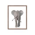 Picture of Behind Elephant _GroupedProduct_Rectangle_Portrait_Mini_ _GroupedProduct_Rectangle_Portrait_Framed_Matted_