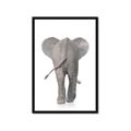 Picture of Behind Elephant _GroupedProduct_Rectangle_Portrait_Mini_ _GroupedProduct_Rectangle_Portrait_Framed_Matted_
