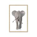 Picture of Behind Elephant _GroupedProduct_Rectangle_Portrait_Mini_ _GroupedProduct_Rectangle_Portrait_Framed_Matted_