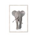 Picture of Behind Elephant _GroupedProduct_Rectangle_Portrait_Mini_ _GroupedProduct_Rectangle_Portrait_Framed_Matted_