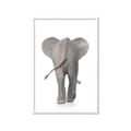 Picture of Behind Elephant _GroupedProduct_Rectangle_Portrait_Mini_ _GroupedProduct_Rectangle_Portrait_Framed_Matted_
