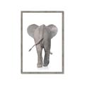Picture of Behind Elephant _GroupedProduct_Rectangle_Portrait_Mini_ _GroupedProduct_Rectangle_Portrait_Framed_Matted_