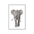 Picture of Behind Elephant _GroupedProduct_Rectangle_Portrait_Mini_ _GroupedProduct_Rectangle_Portrait_Framed_Matted_
